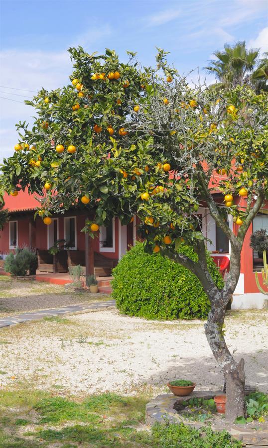 Monte Da Xica - Somente Adultos Guest House Zambujeira do Mar Exterior photo